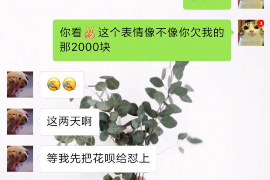 淮滨为什么选择专业追讨公司来处理您的债务纠纷？